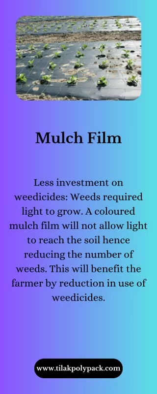 Mulch Film