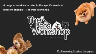 A range of services to cater to the specific needs of different animals— The Pets Workshop