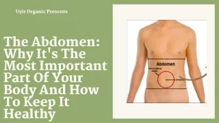 The Abdomen Why It's The Most Important Part Of Your Body And How To Keep It Healthy