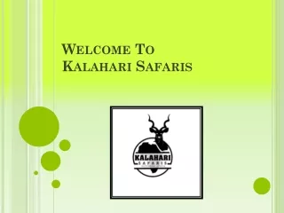 Plains Game Hunting Africa | kalahari Safaris