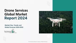 Drone Services Market Share, Trends, Growth And Forecast 2033