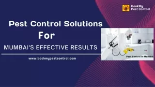 Pest Control Solutions for Mumbai's Effective Results