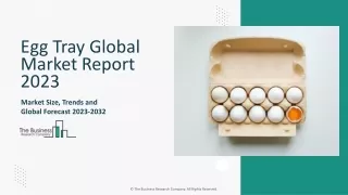 Egg Tray Market Size, Share, Growth, Trends, Industry Analysis And Forecast 2024