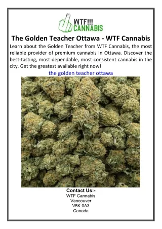 The Golden Teacher Ottawa WTF Cannabis