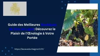 Guide des Meilleures Boutiques de Vins en Ligne: Découvrez le Plaisir de l'Œnolo