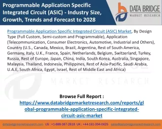 Programmable Application Specific Integrated Circuit (ASIC) Market