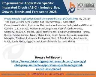 Programmable Application Specific Integrated Circuit (ASIC) Market