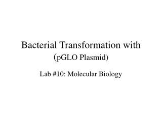 Bacterial Transformation with ( pGLO Plasmid)