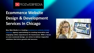 Ecommerce Website Design & Development Services In Chicago