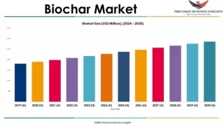 Biochar Market Size, Future Trends and Industry Growth by 2030