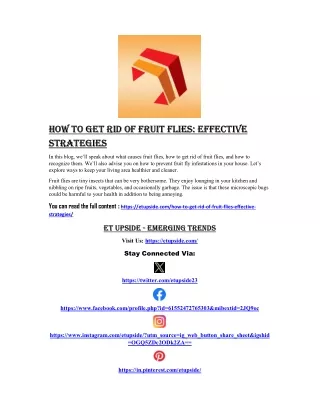 How to Get Rid of Fruit Flies- Effective Strategies