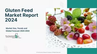 Gluten Feed Market Growth, Share, Demand And Key Players Analysis Till 2033