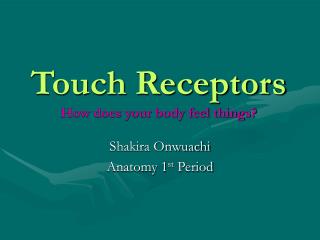 Touch Receptors How does your body feel things?