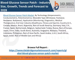 Blood GlucoSE SEnsor Patch Market