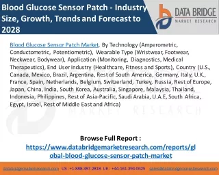 Blood GlucoSE SEnsor Patch Market