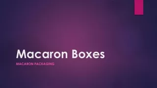 Macaron Boxes