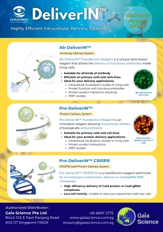 OZ Biosciences Transfection Reagents