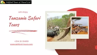 Discover the Extraordinary Tanzania Safari Tours Beckon for Unforgettable Adventures