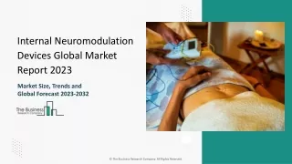 Internal Neuromodulation Devices Market Size, Trends And Forecast 2024-2033