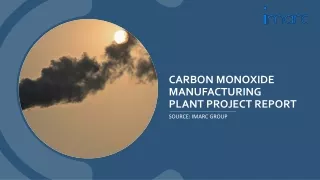 Carbon Monoxide Manufacturing Plant PDF| Detailed Report on Requirements