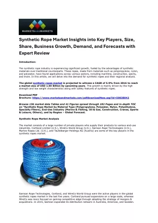 Exploring Opportunities: Synthetic Rope Market Insights