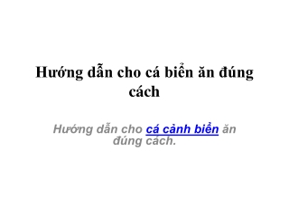 Hướng dẫn cho cá biển ăn đúng cách