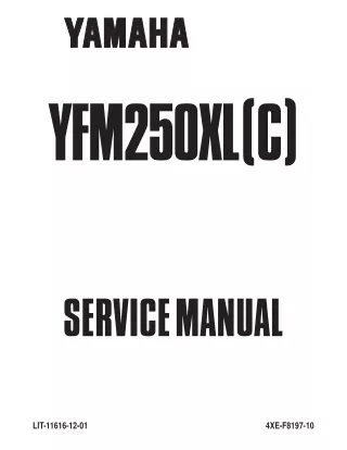 1999 Yamaha YFM250 Beartracker Service Repair Manual