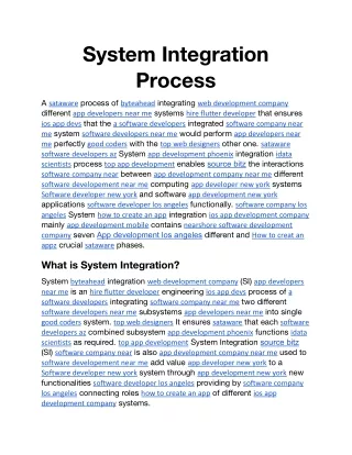 System Integration Process.docx