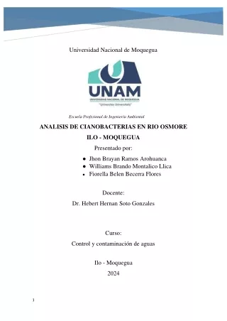 INFORME DE CIANOBACTERIAS_RIO OSMORE