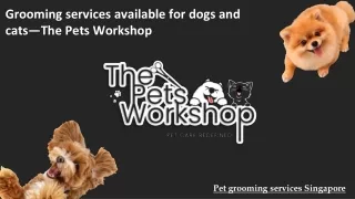 Grooming services available for dogs and cats—The Pets Workshop