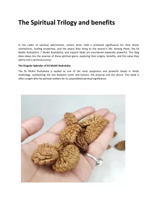 The Singular Splendor of Ek Mukhi Rudraksha