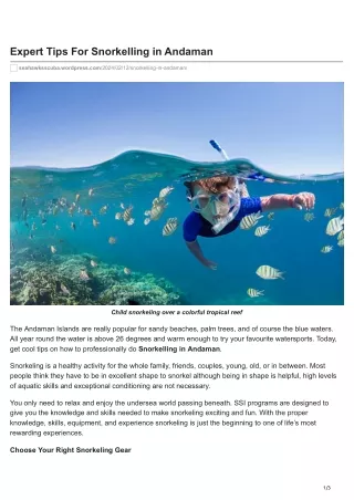 Expert tips to conduct snorkeling in Andaman