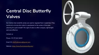Central Disc Butterfly Valves Manufacturer, Central Disc Butterfly Valve Exporte