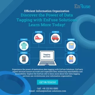Efficient Information Organization: Discover the Power of Data Tagging at EnFuse