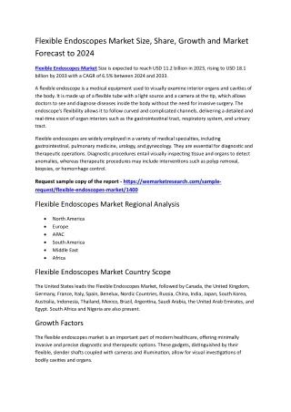 Flexible Endoscopes Market Size, Share, Growth and Market Forecast to 2024