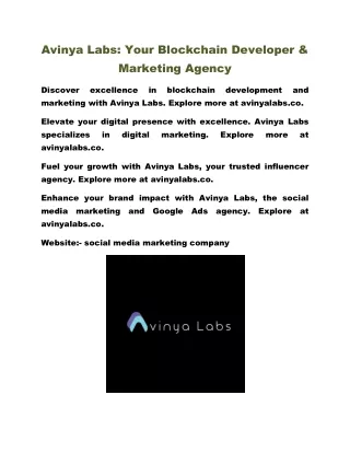 Avinya Labs: Your Blockchain Developer & Marketing Agency