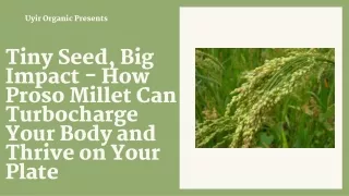 Tiny Seed, Big Impact - How Proso Millet Can Turbocharge Your Body and Thrive on Your Plate