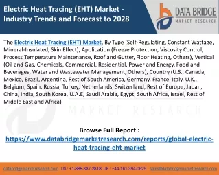 Electric Heat Tracing (EHT) Market