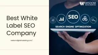 Best White Label SEO Company