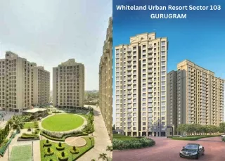 Whiteland Urban Resort Sector 103 Gurugram - PDF