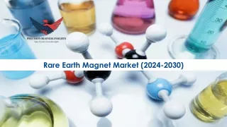 Rare Earth Magnet Market