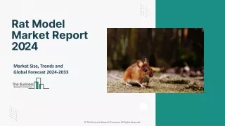 Rat Model Market Growth: Insights, Demand, and Forecast to 2033