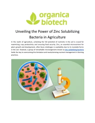 Zinc Solubilizing Bacteria