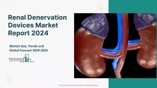 Global Renal Denervation Devices Market Outlook And Analysis Report 2033