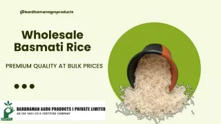 Wholesale Basmati Rice Premium Quality at Bulk Prices