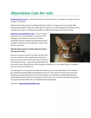 Abyssinian Cats for sale