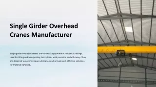 Single Girder Overhead Crane Manufacturer in Ahmedabad- Torraneindustries.com