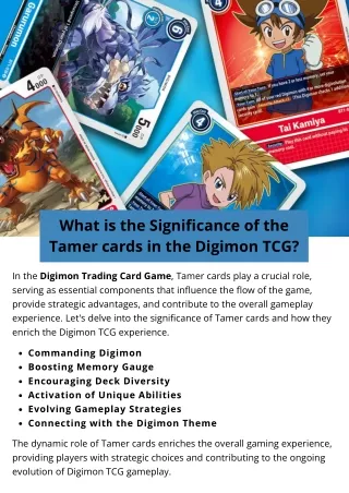 What is the Significance of the Tamer cards in the Digimon TCG