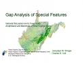 Gap Analysis of Special Features General Discussion and a Case Study: Amphibians and Mammals of West Virginia Caves