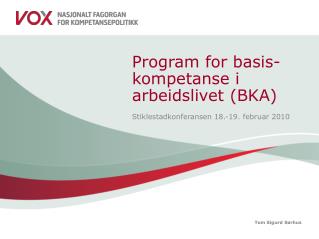 Program for basis-kompetanse i arbeidslivet (BKA)